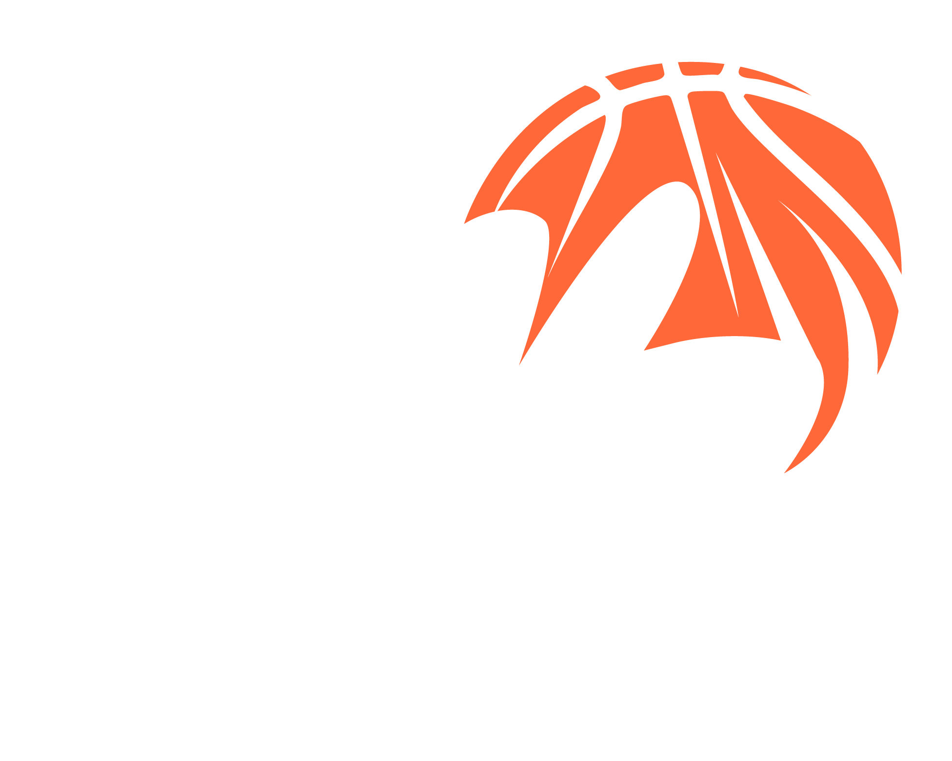 Ball Haul